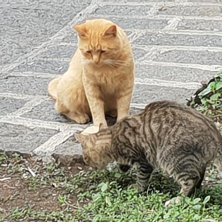 Alle Pendici Dell'Etna Ragalna Zewnętrze zdjęcie