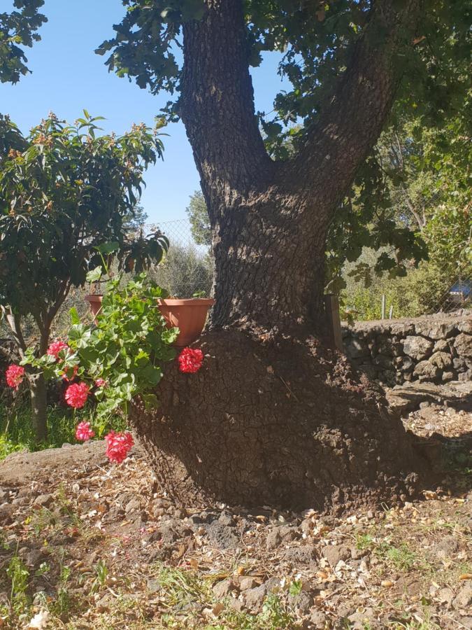 Alle Pendici Dell'Etna Ragalna Zewnętrze zdjęcie