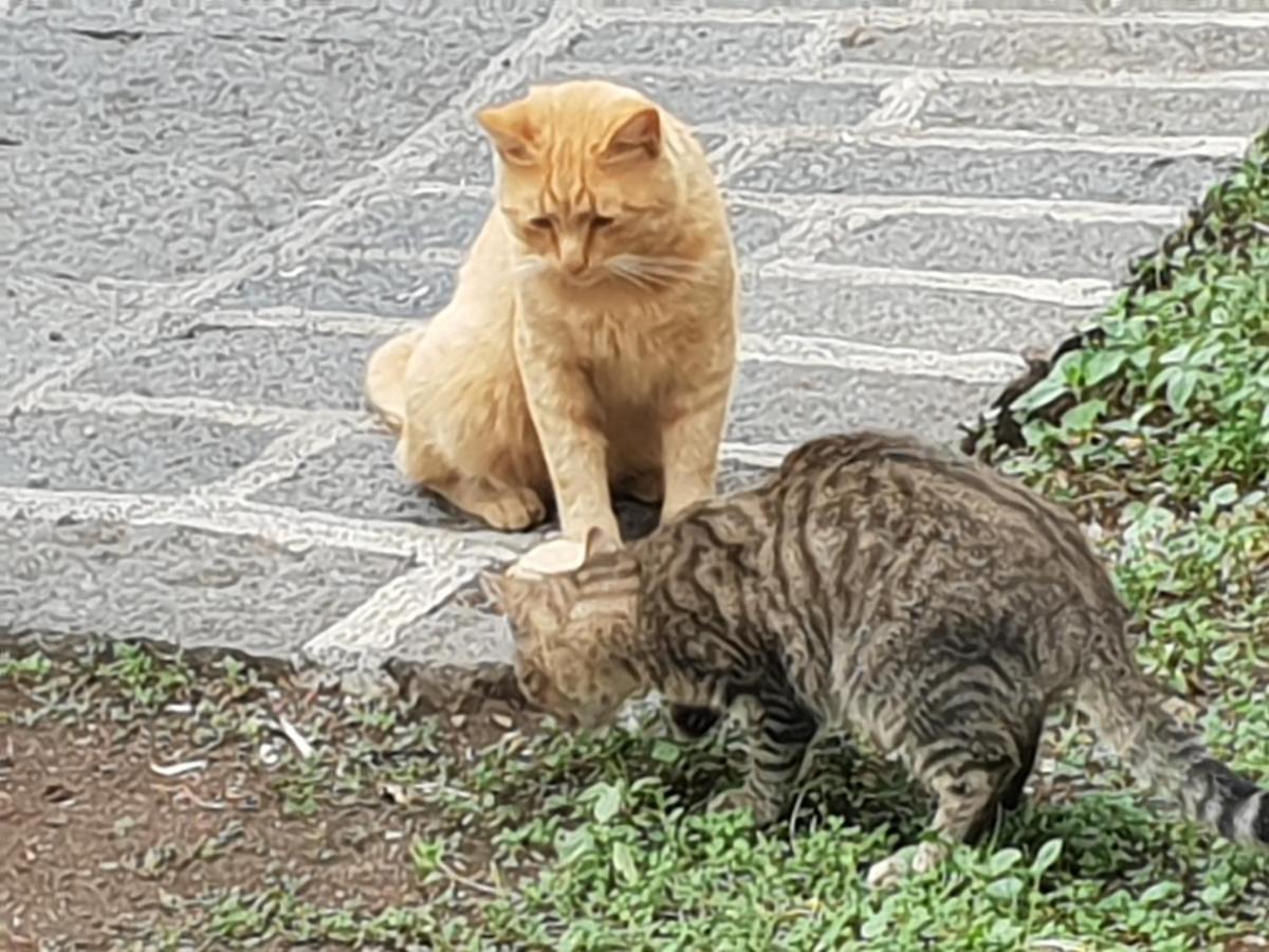 Alle Pendici Dell'Etna Ragalna Zewnętrze zdjęcie